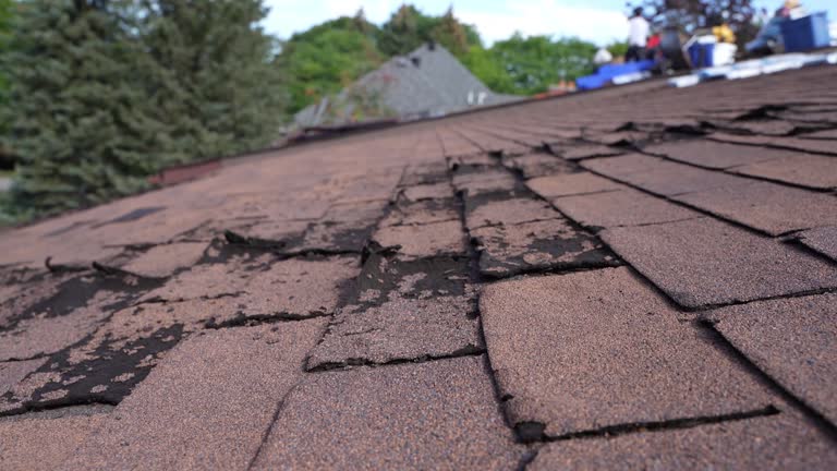 Best 4 Ply Roofing  in Fortuna, CA
